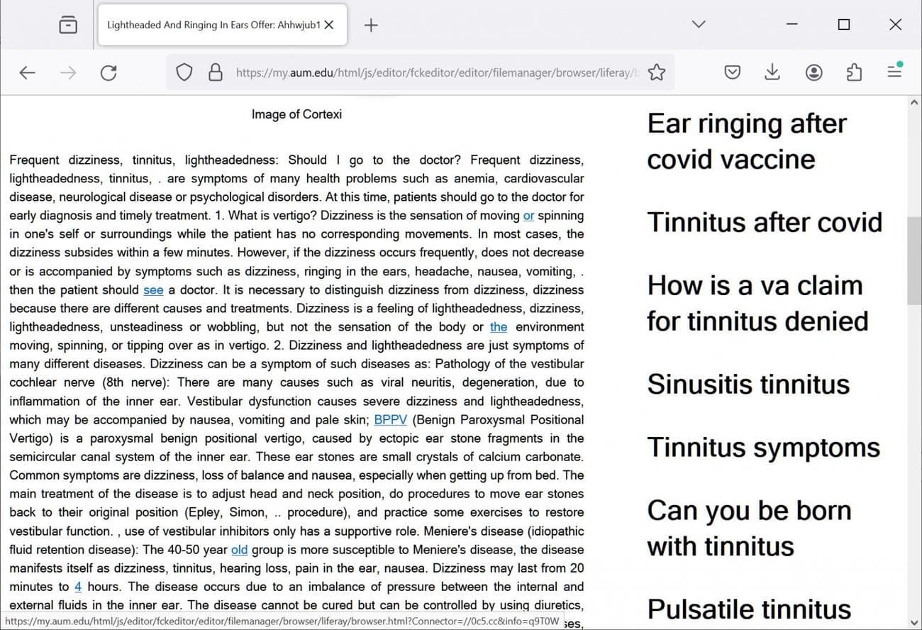 Στατική σελίδα HTML που χρησιμοποιείται για δηλητηρίαση SEO