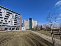 Δείγματα ημέρας Xiaomi 14: 0,6x