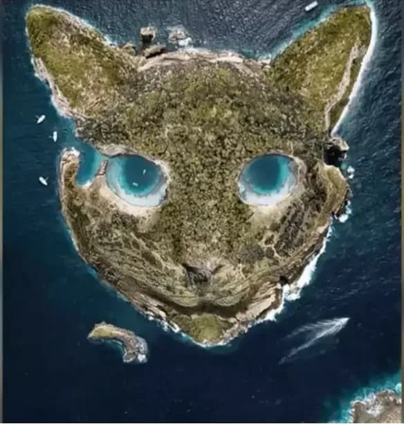 Τεστ προσωπικότητας οπτική ψευδαίσθηση γάτα νησί