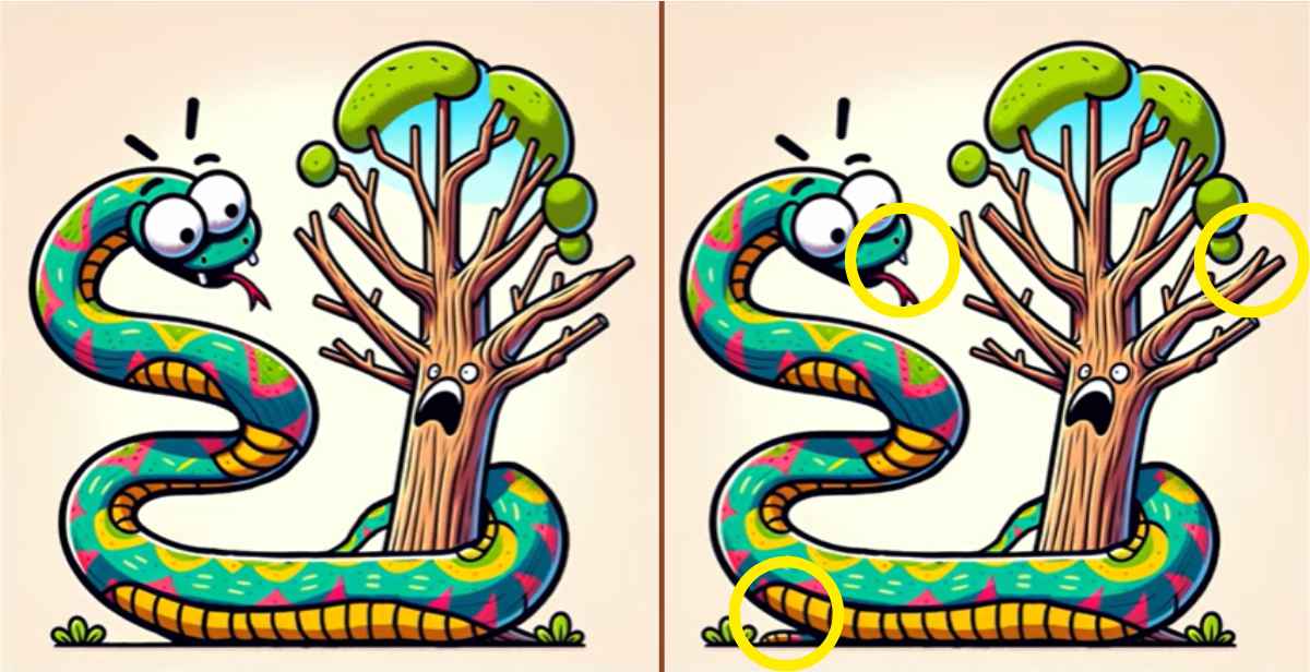 Τεστ παρατηρητικότητας, διαφορές, ανακόντα λύση