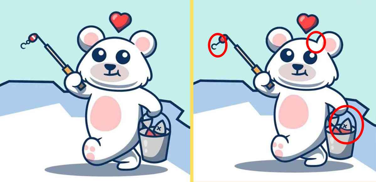 Τεστ παρατηρητικότητας διαφορές αρκουδάκι λύση