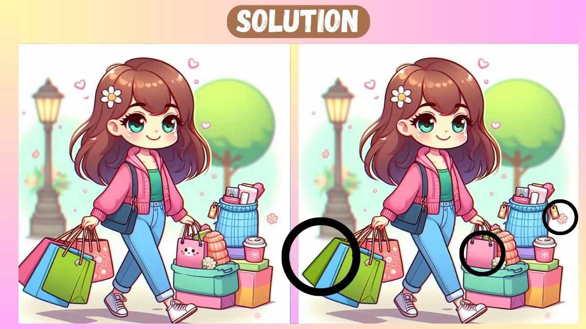 τεστ παρατηρητικότητας «Βρες τις διαφορές» κορίτσι ψώνια λύση