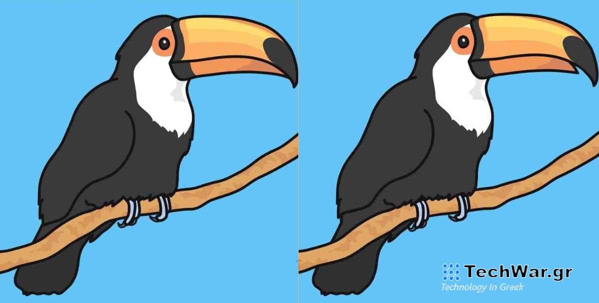 Τεστ παρατηρητικότητας, διαφορές, τουκάν