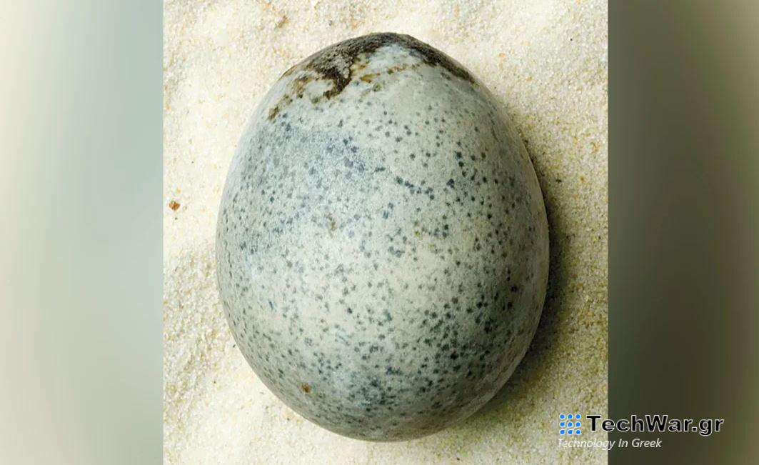 Αβγό διατηρήθηκε για 1.700 χρόνια με τον κρόκο και το ασπράδι του
