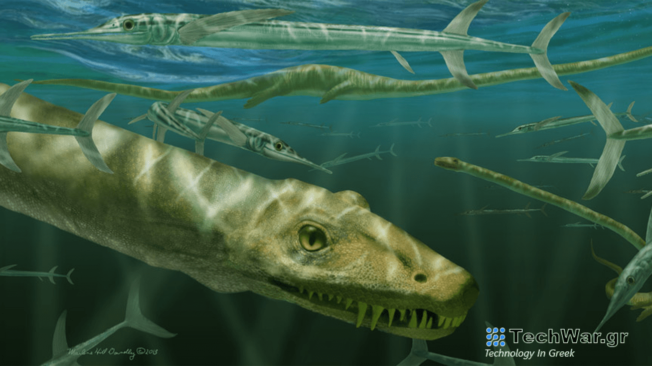 An artist's illustration of Dinocephalosaurus orientalis with a long neck and sharp teeth swimming alongside prehistoric fish.