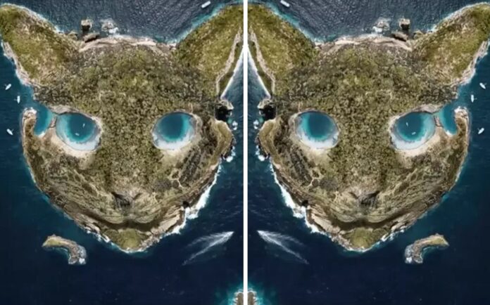 Αυτό που βλέπετε πρώτα αποκαλύπτει πόσο ώριμος είστε Τεστ προσωπικότητας οπτική ψευδαίσθηση γάτα νησί