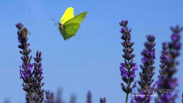 Ευρωπαϊκό Κοινοβούλιο: Εγκρίθηκε παρά τις αντιδράσεις ο νόμος για την αποκατάσταση της φύσης