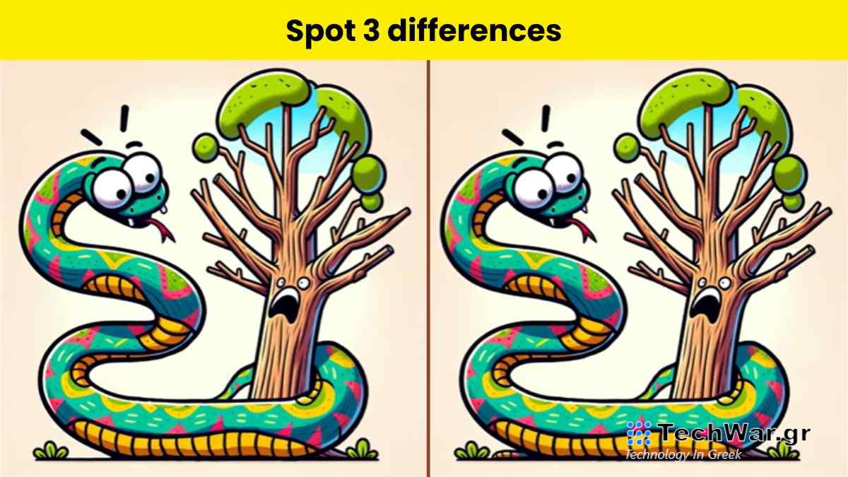 Τεστ παρατηρητικότητας, διαφορές, ανακόντα 