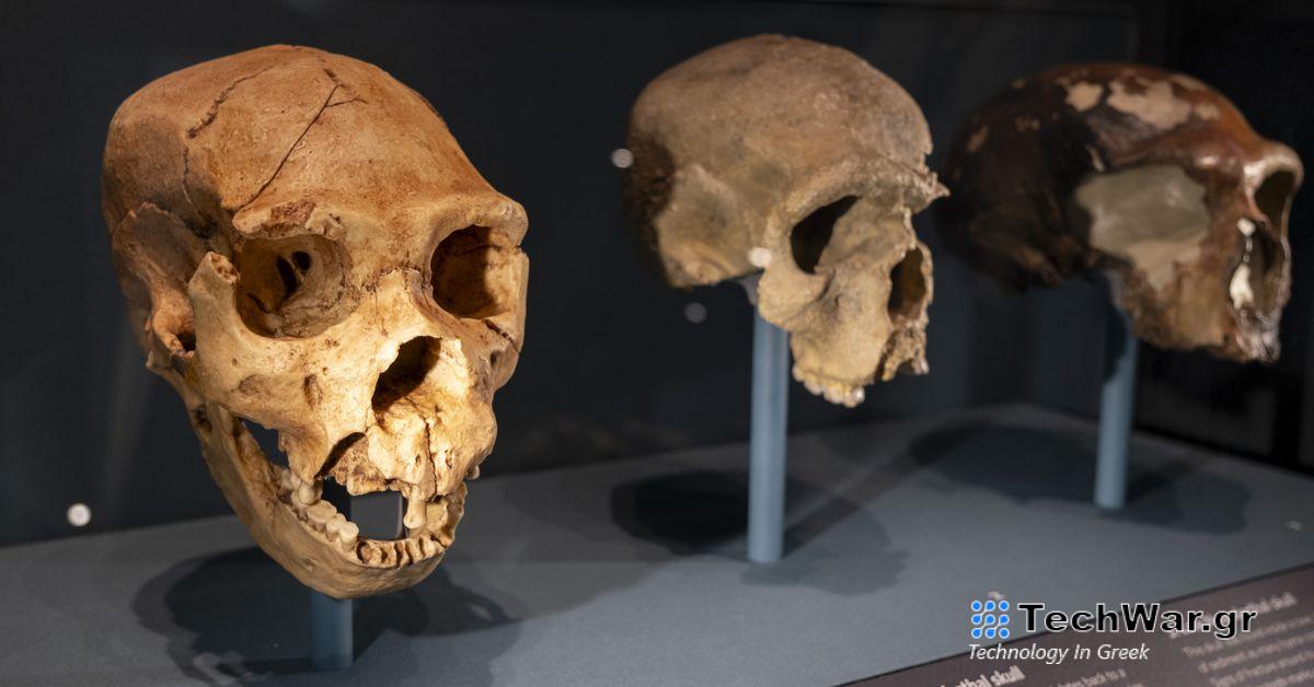 Προς μια ενοποιημένη ταξινόμηση της χρήσης μέσων κοινωνικής δικτύωσης που βασίζεται σε κείμενο