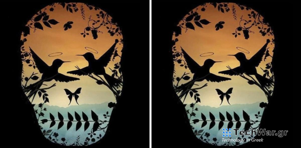 Τεστ προσωπικότητας οπτική ψευδαίσθηση