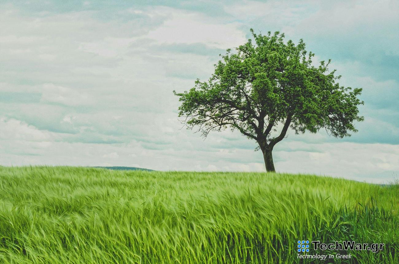 «Το δάσος μας»: 35.000 δενδρύλλια σε έκταση 500 στρεμμάτων