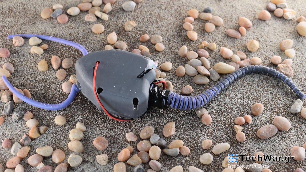 pleurocystitid soft robot