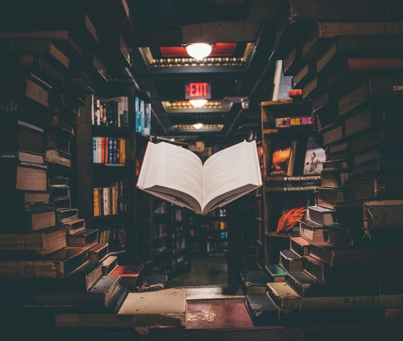 Εκδόσεις AI: Εκεί που τα μεγάλα δεδομένα αποκαλύπτουν το επόμενο μπεστ σέλερ 2 Έκδοση AI