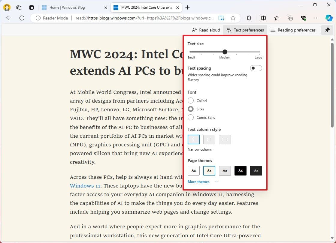 Immersive Reader options
