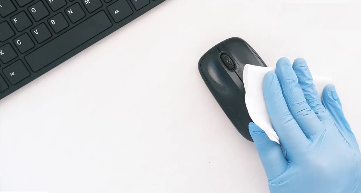 καθαρό ποντίκι