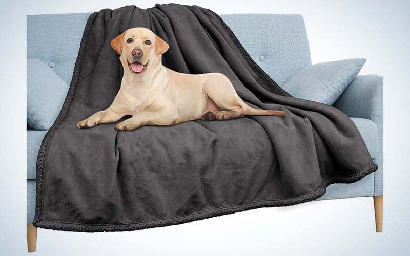 The Pavilia Waterproof Blanket is the best throw blanket for dogs.