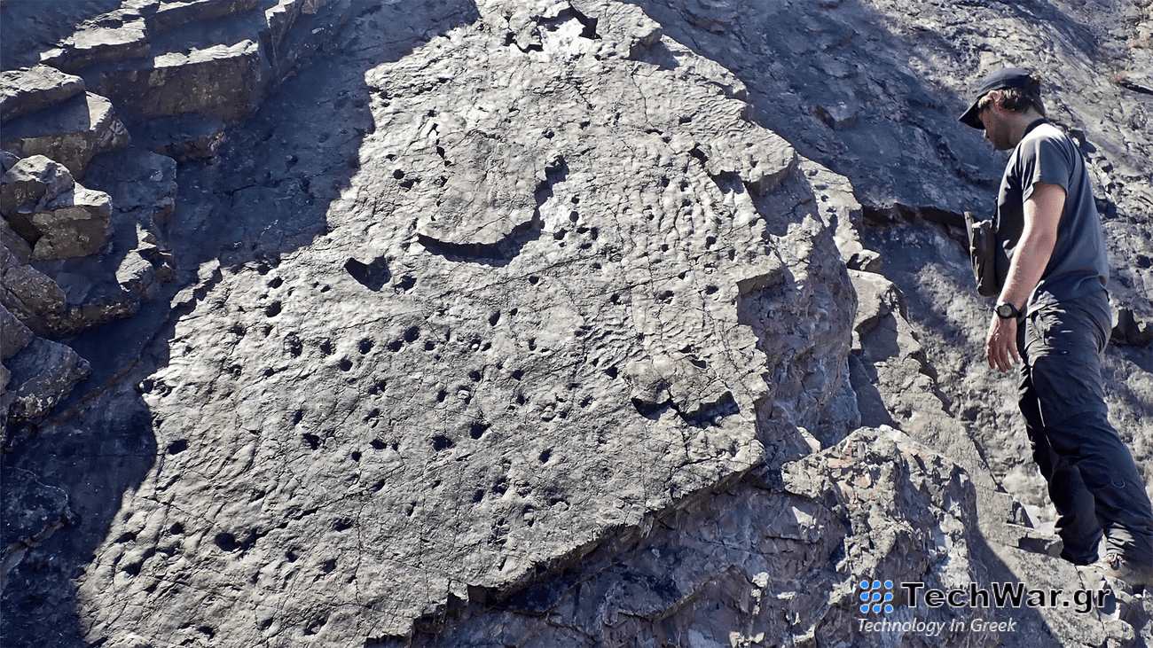 rocky cliffs with pockmarks where the fossils were found